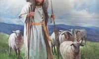 Sunday Reflections: Shepherding
