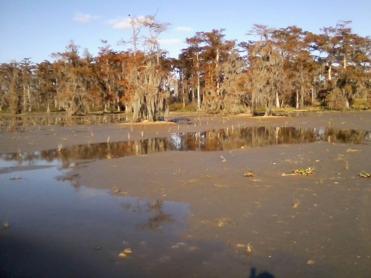 Profit motive can save the wetlands