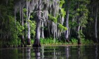 Barataria diversion is shelved, but coastal restoration continues
