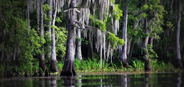 Barataria diversion is shelved, but coastal restoration continues