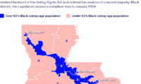 Two on the Louisiana Redistricting Case